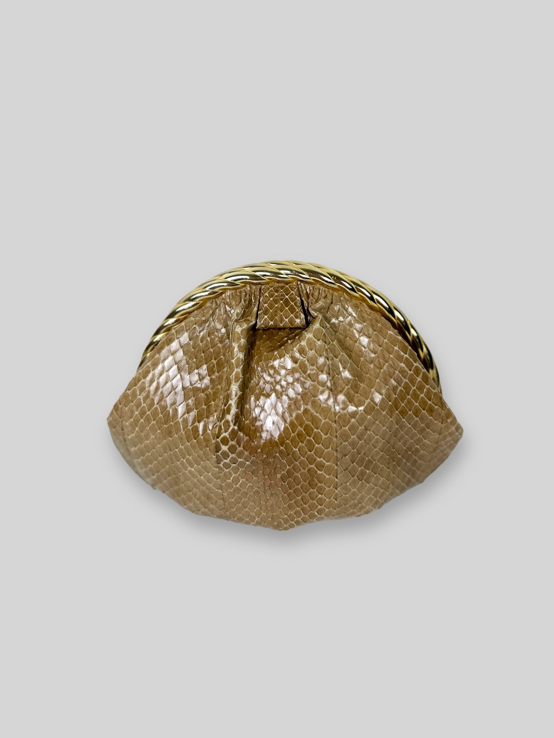 Vintage Snake skin clutch 2024