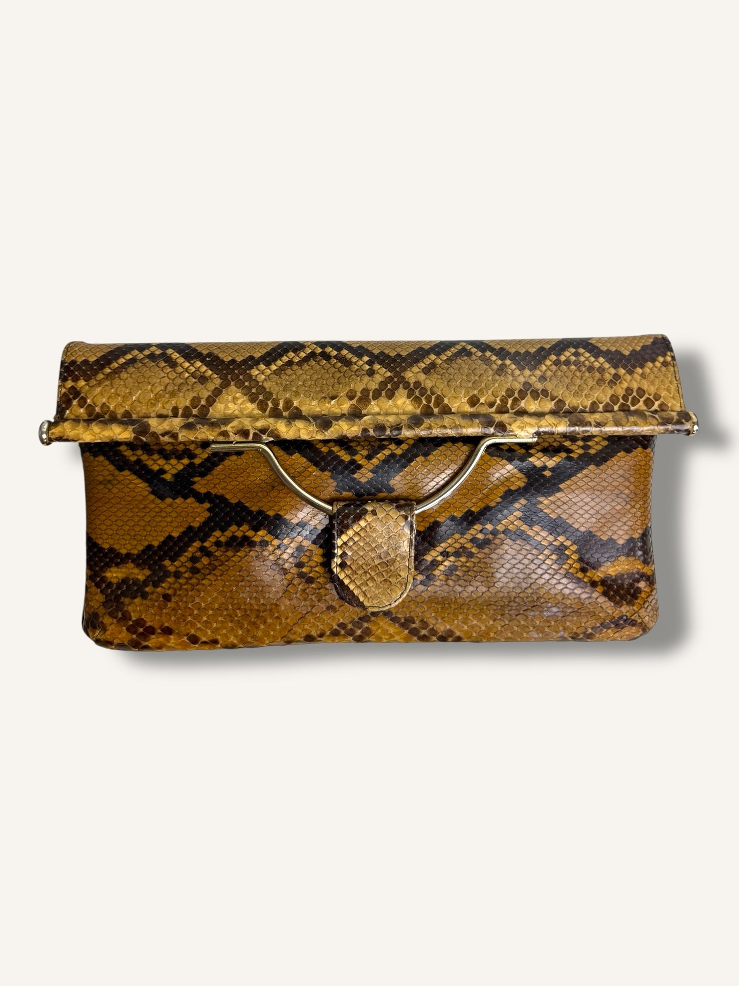 Snakeskin Bag