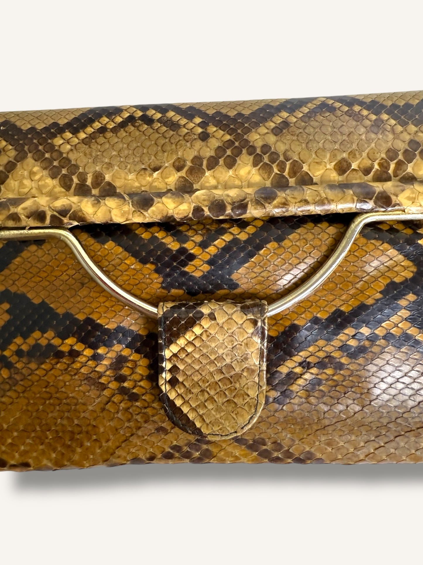 Snakeskin Bag
